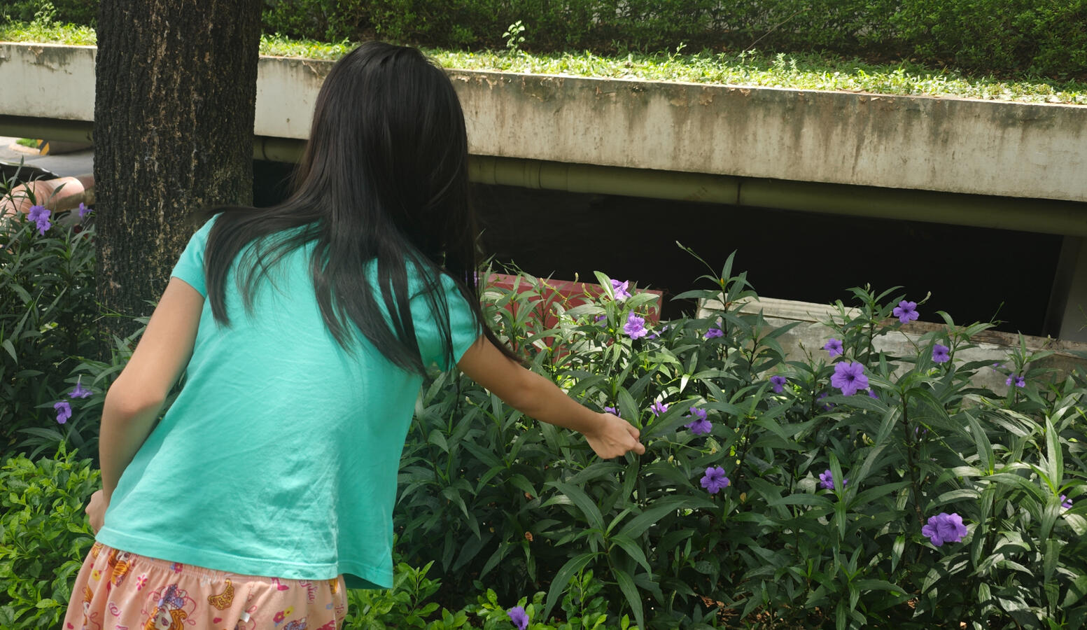 Nature Study Nature Study